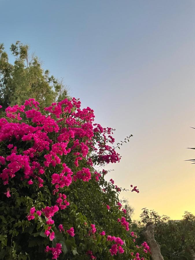Villa Maina คามารี ภายนอก รูปภาพ